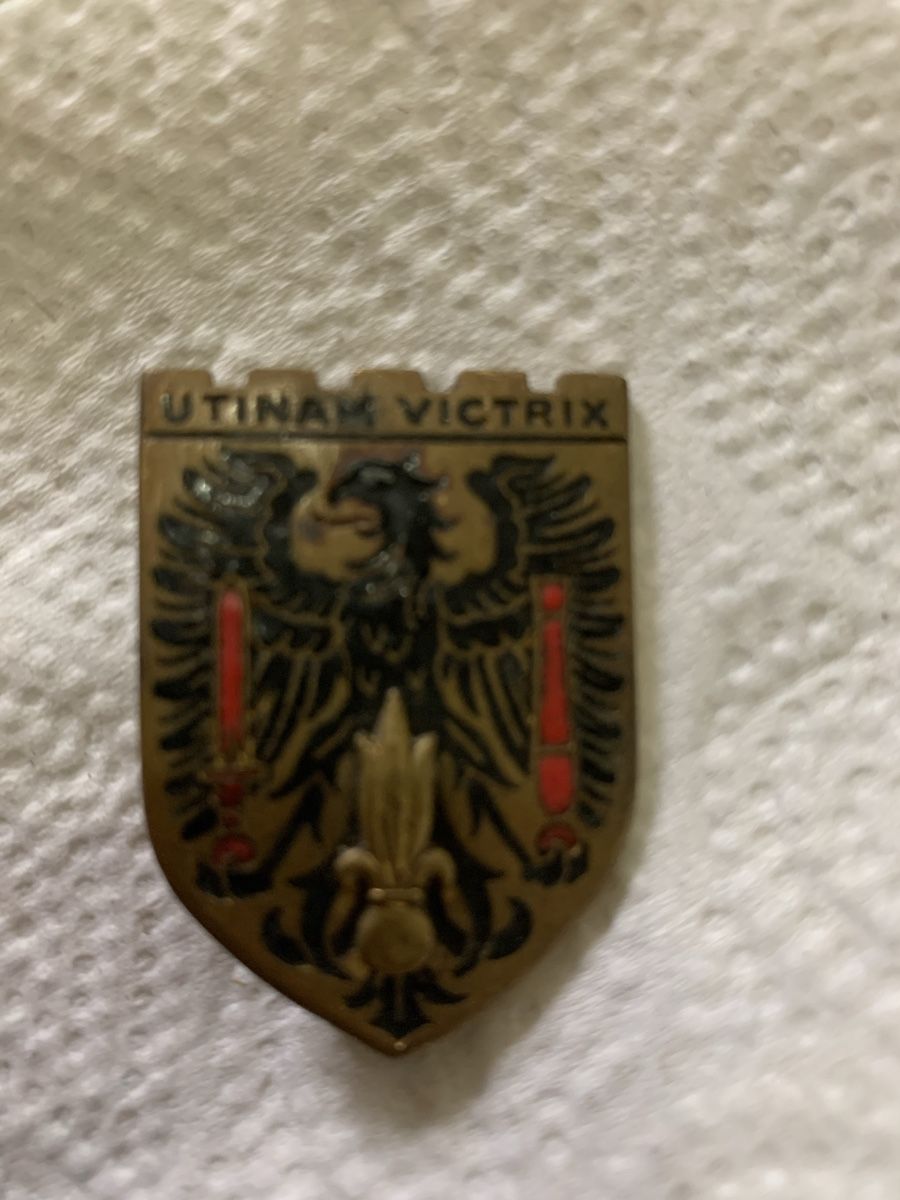 Placchette & Badge: Abzeichen der 15.franz.Infanterie.1950 – Usato da Rorschacherberg venduto da raf_2ll8 1