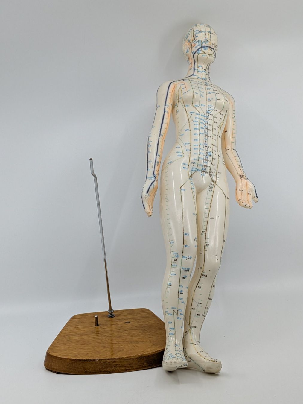Statuette: Akupunktur Modell Figur – Usato da Emmen venduto da magelan 3