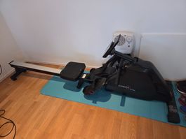 Rudergerät Hammer