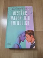 "Gestern waren wir unendlich" - Dominik Gaida Roman Top!