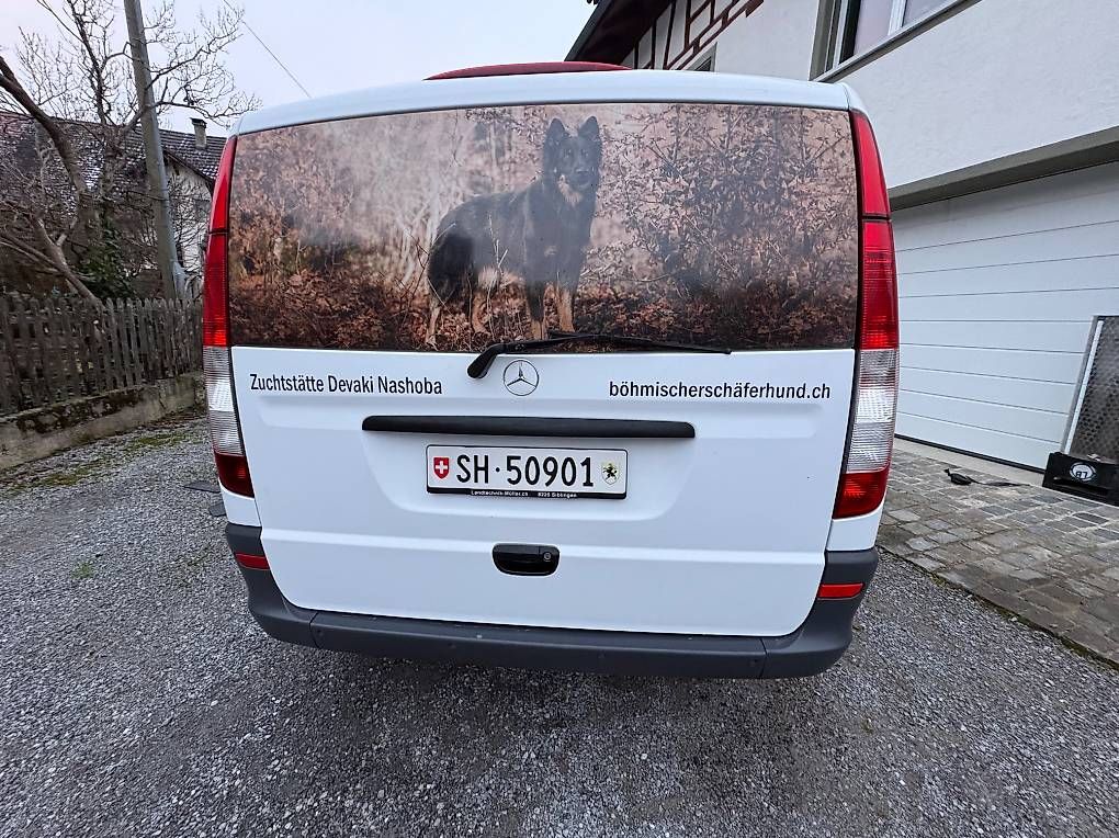 Veicoli commerciali: MERCEDES-BENZ 113 CDI 4x4 – Usato da Siblingen venduto da Siblingen85 3