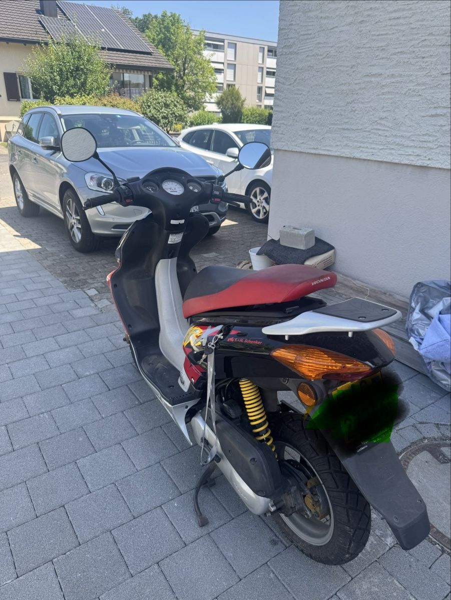 Honda Scooter: Honda SZX50X – Usato da Buchs AG venduto da tha_t9h8 1