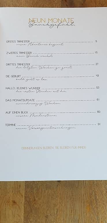 Libri: Schwangerschafts Tagebuch – Nuovo (secondo la descrizione) da Stoos SZ venduto da may_p9xx 1