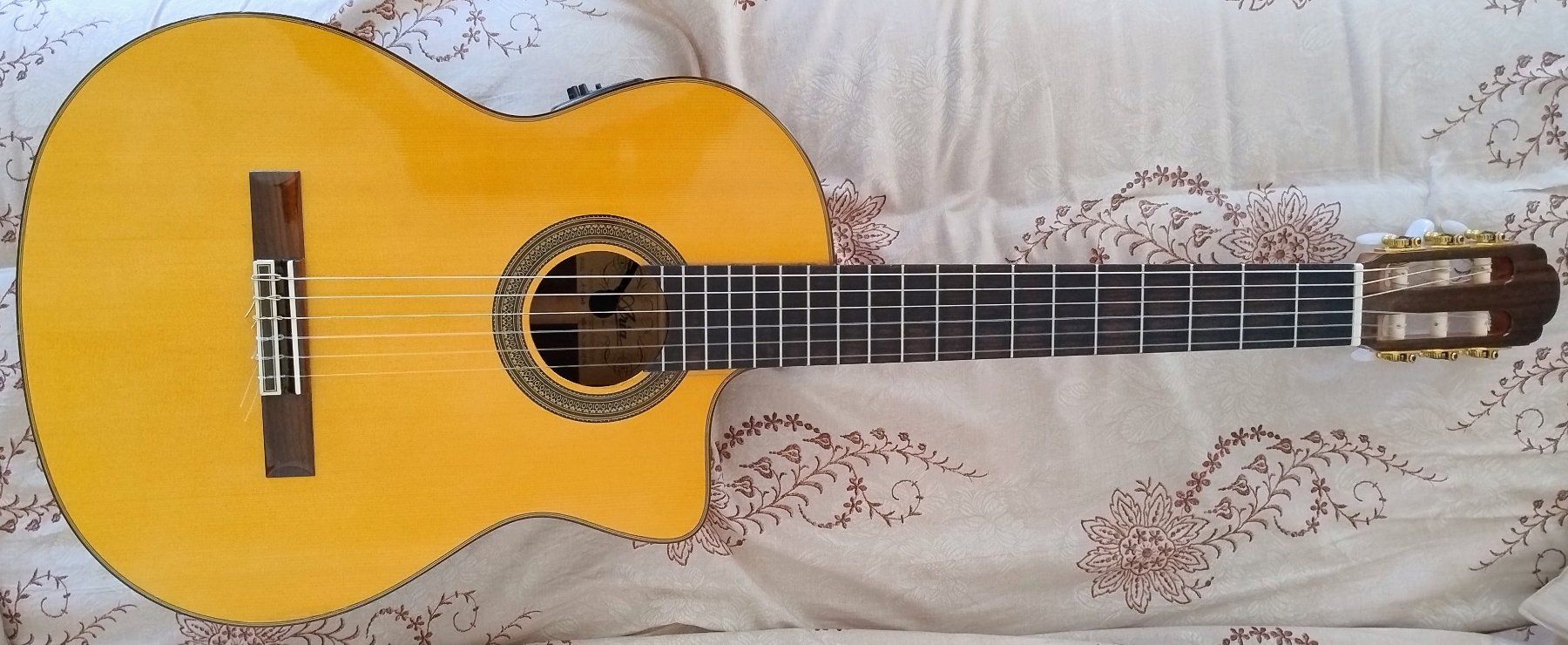 Aria Strumenti musicali: Aria A-60CWE – Usato da Bellinzona venduto da Notturno13