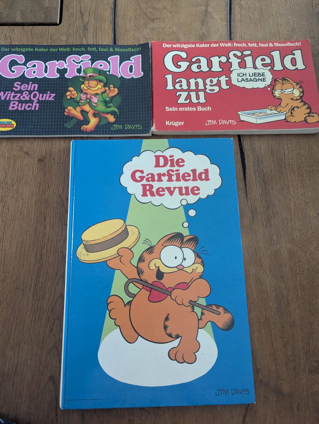 BD: Garfield Comics – D'occasion à Wangen ZH par Nadja056