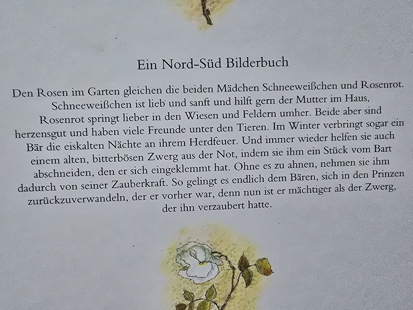 Libri: Bernadette Schneeweißchen und Rosenrot – Usato da Hedingen venduto da mickway 1