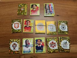 Panini Wm Stickers ca. 200 inklusive 00