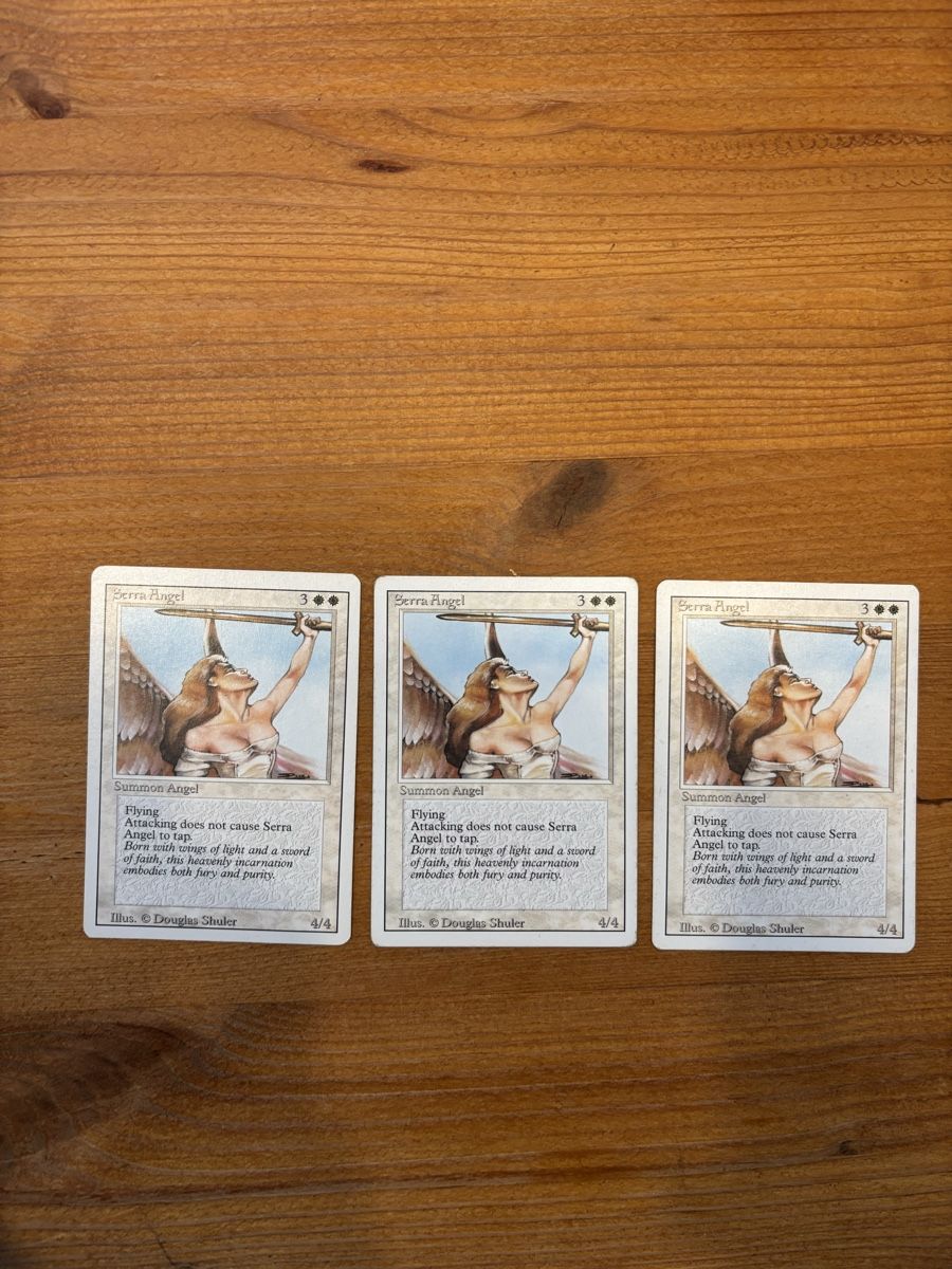 Magic The Gathering Carte collezionabili: Serra Angel Magic the Gathering – Usato da Männedorf venduto da Qurop
