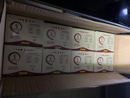 8 Boîtes originales Panini Coupe du Monde 2022 Qatar
