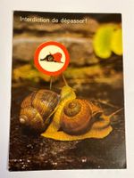 Carte postale - vintage "Escargots" humour Suisse 🐌😄🇨🇭