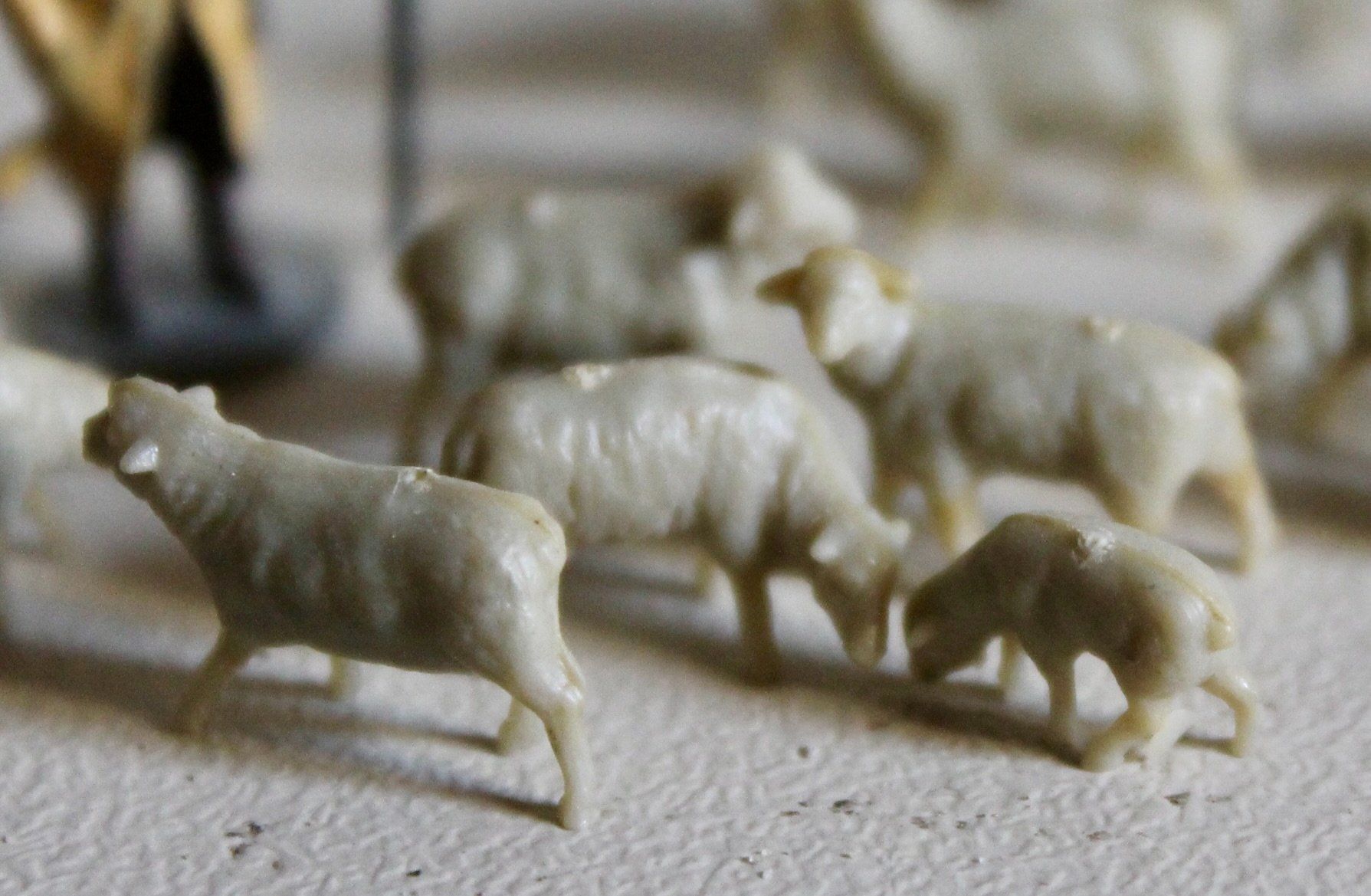 Cartoline postali: Miniatur Schafherde mit Hirt – Usato da Kirchlindach venduto da hekilida 4