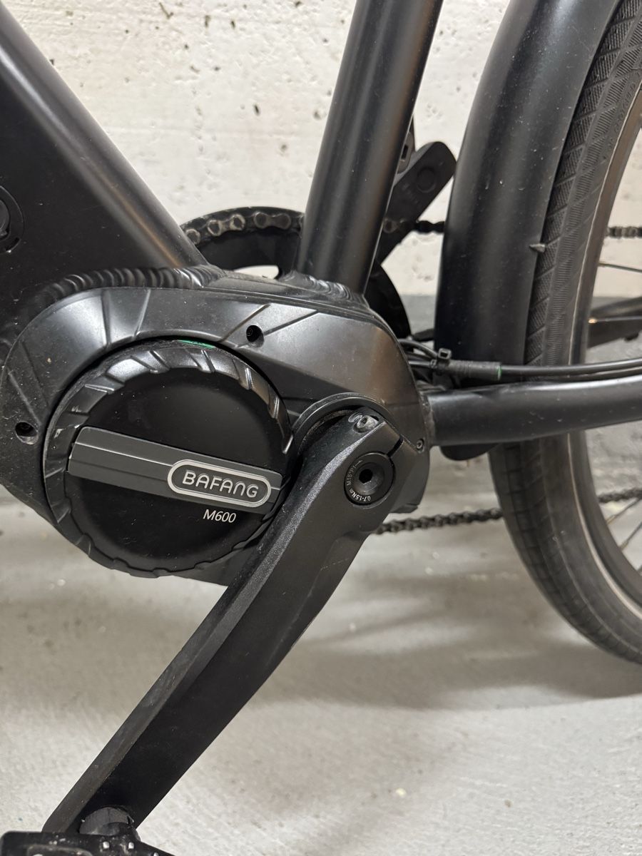 Biciclette: E- Bike Ego Movement – Usato da Wil SG venduto da andi_aliaj 2