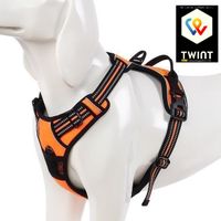 📌 Gepolstertes Reflective Hundegeschirr Gestältli Gr. XS-XL