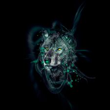 Profile image of and_2sps