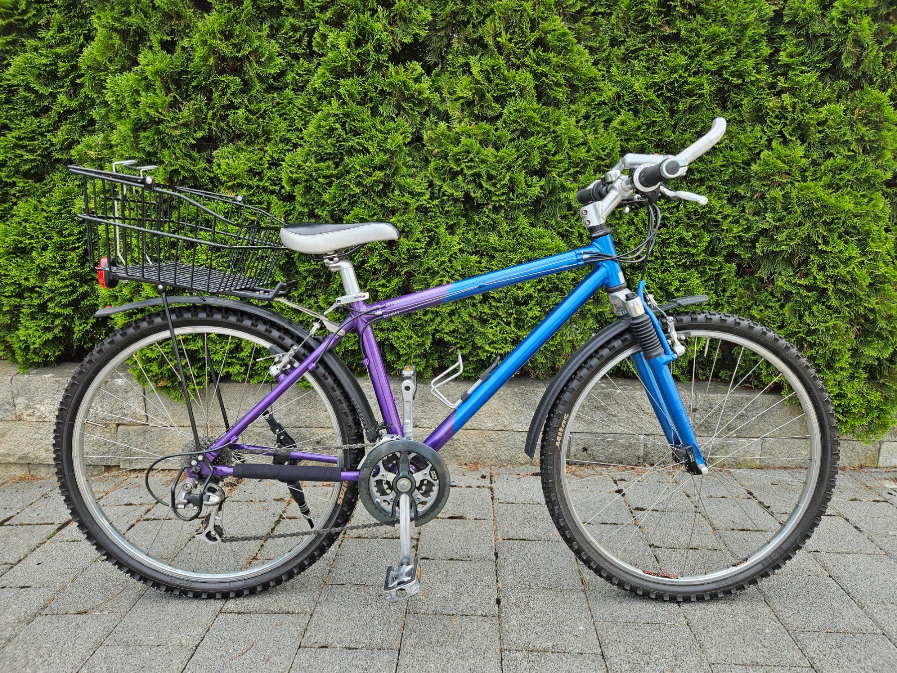 BMC Biciclette: Mountainbike BMC/Lola – Usato da Walterswil SO venduto da Myannick 3