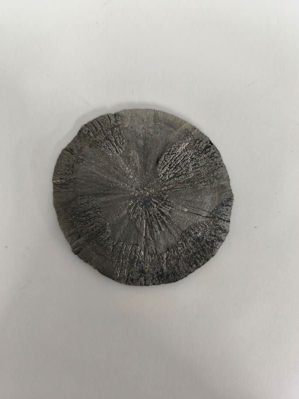 Mineralien & Heilsteine: Pyrit Sonne - Miner's Dollar – Gebraucht aus Rüti ZH von Restwert_Rueti_ZH