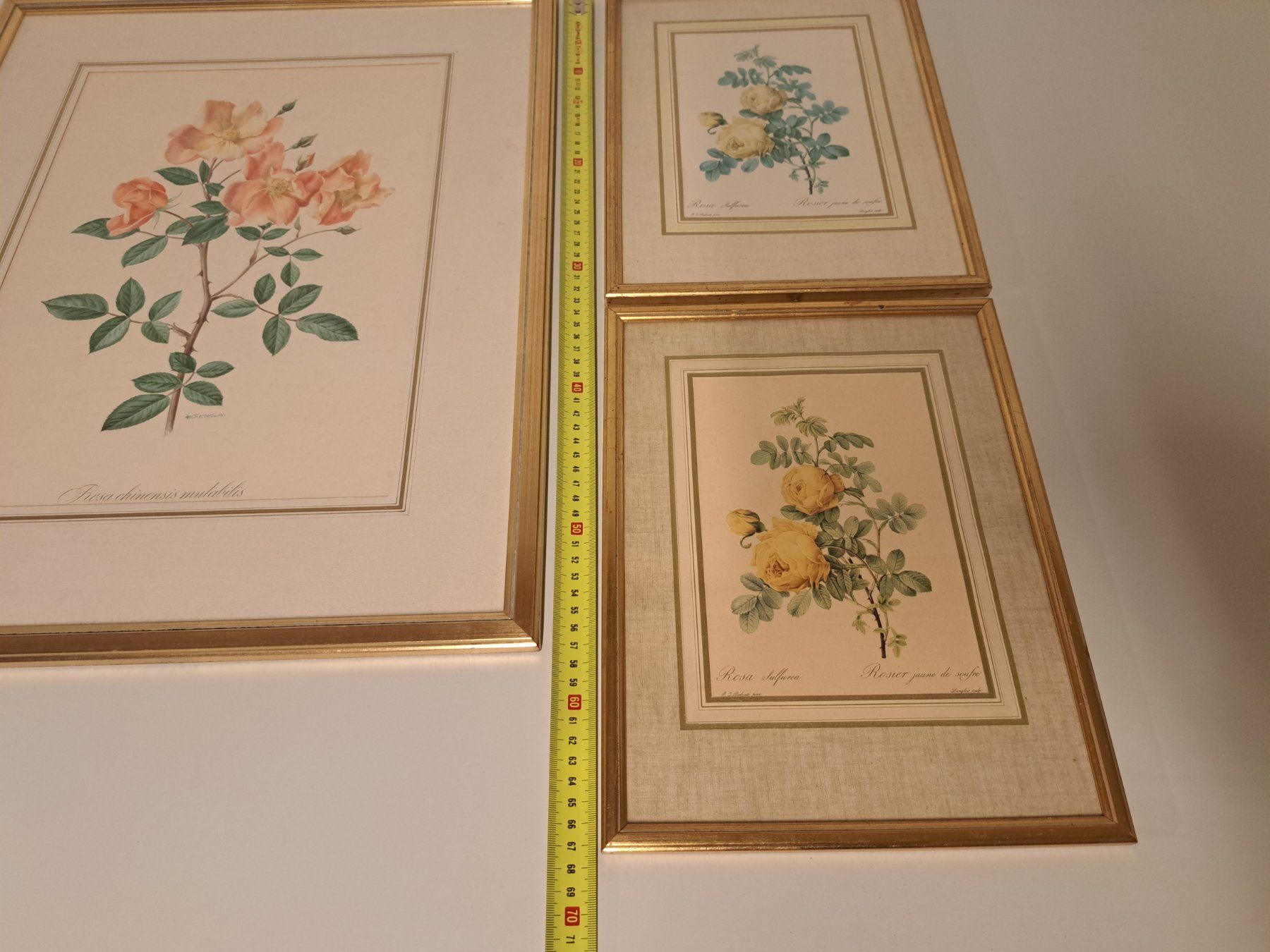 Incisioni: 3x Stich Bild Litho/ Rosen – Usato da Belp venduto da deal-now 4