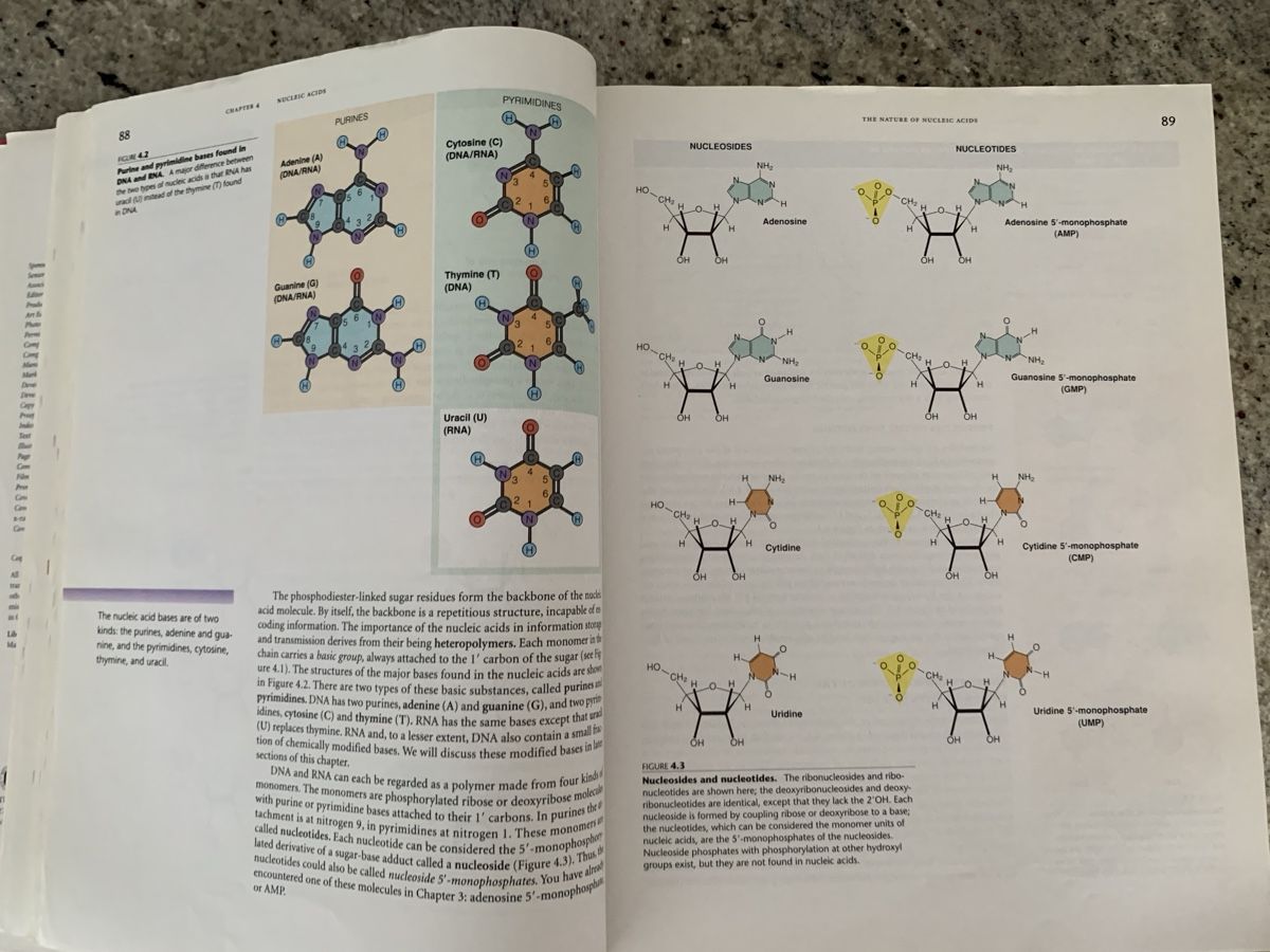 Libri: Biochemistry, 2nd Edition, Matthews/van Holde – Usato da Genève venduto da sunsustains 8