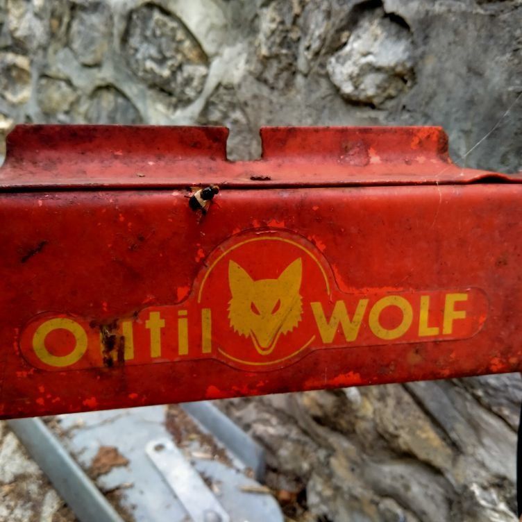 Wolf Garten Tagliaerba: Tondeuse marque WOLF – Difettoso da Cologny venduto da ducatocook 2