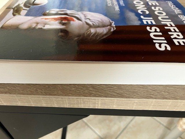 Libri: Pascal Bruckner "Je souffre donc je suis" – Nuovo (secondo la descrizione) da Les Ponts-de-Martel venduto da Jolisa 2