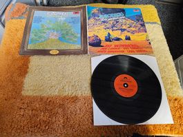 Spotnicks Schallplatte Lp - 20th Anniversary Album