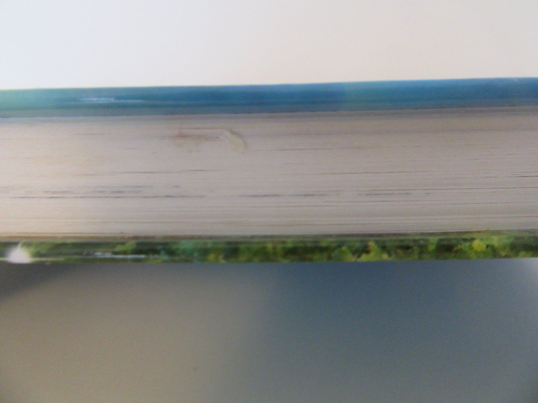 Libri: Sternenschweif 49, Insel der Träume, Buch Einhorn – Usato da Bern venduto da Mariana7 5