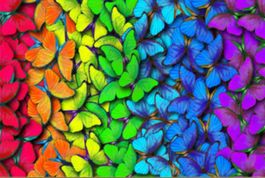 Diamant Painting Regenbogen Schmetterlinge 30x40cm