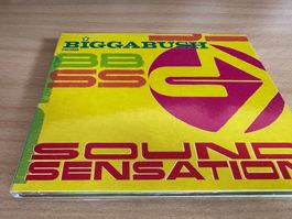 Biggabush – Sound Sensation