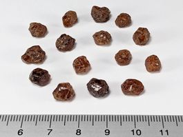 Spessartin Granat Kristalle 7 bis10mm 15Stk. - 40ct