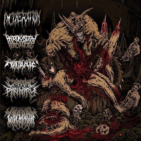CD: Incineration/paroxysmal... – Usato da St-Cergue venduto da VeganWarrior