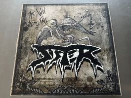 SISTER LP THE WAY WE FALL