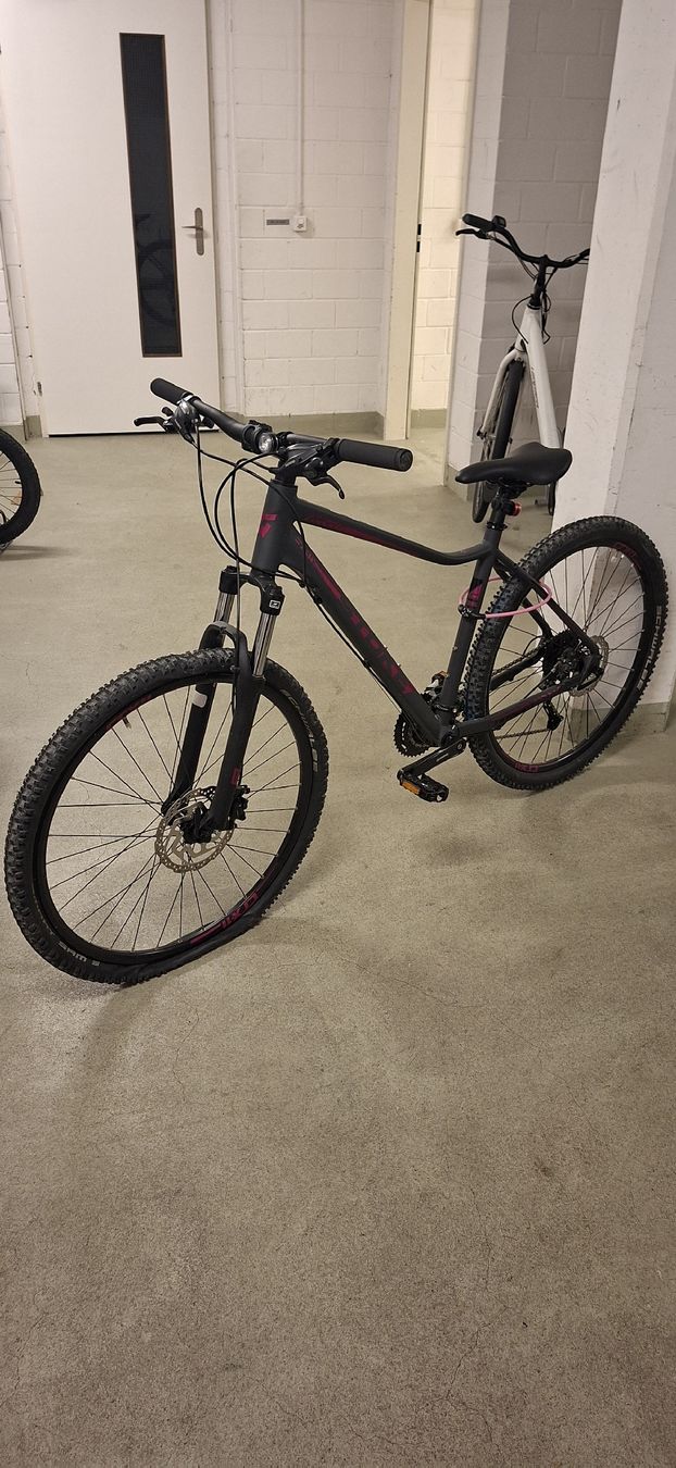 Stoke Velos: Damen Mountainbike von Stoke – Defekt aus Weinfelden von Fun52