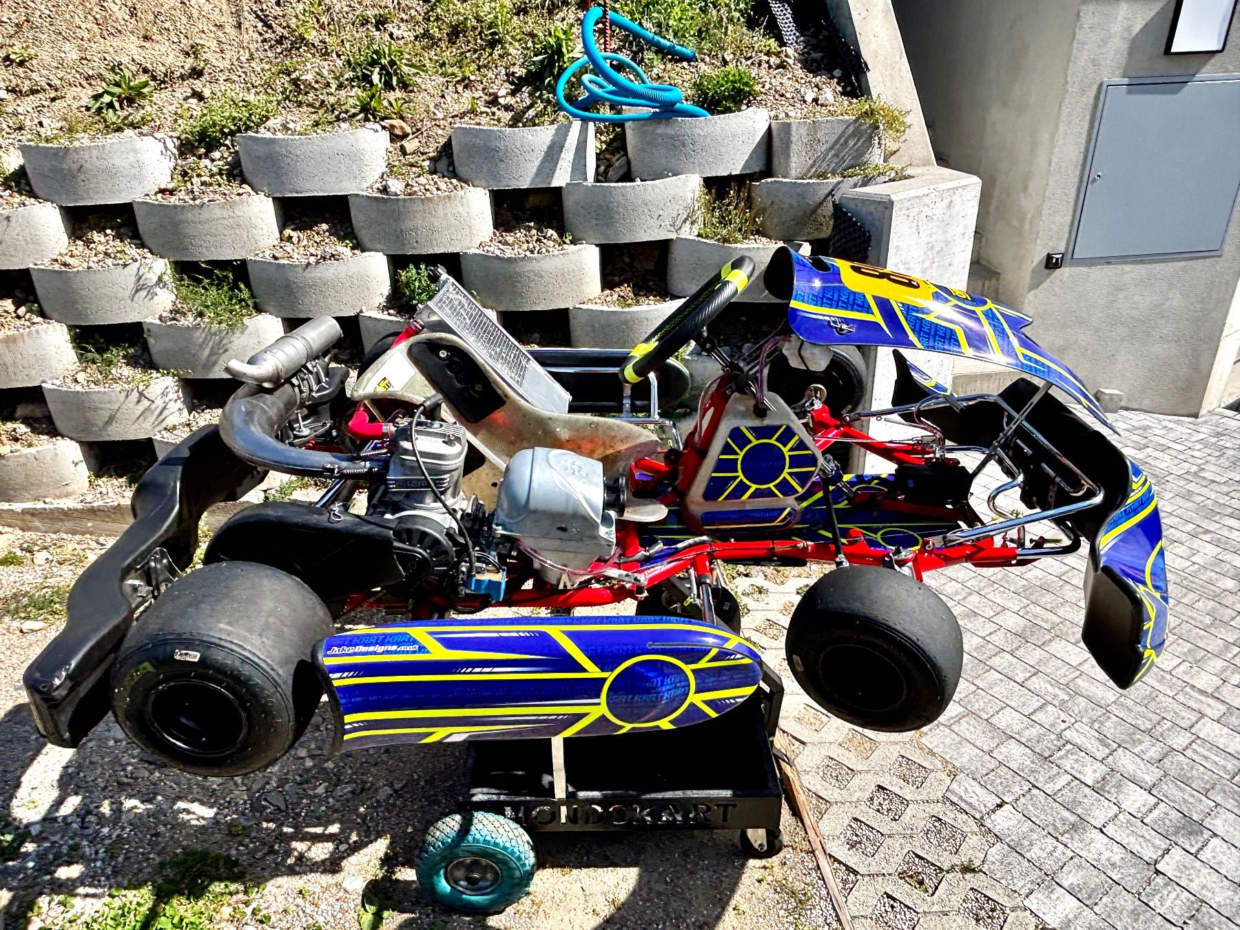 Karts: Kart 125 DR mit Iame X30 – Gebraucht aus Gravesano von jonnykart 5