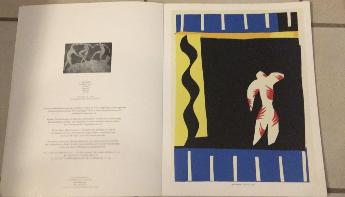 Libri: Portfolio Henri Matisse – Usato da Moutier venduto da Happyvidedressing 1