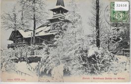 Zürich - Waldhaus Dolder im Winter