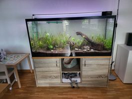 Aquarium Set komplett mit Unterschrank und Filter