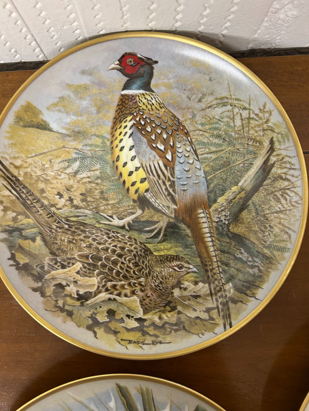 Teller: Les Oiseaux Sauvages Du Monde – Neu (gemäss Beschreibung) aus Gümligen von chrigirici 4