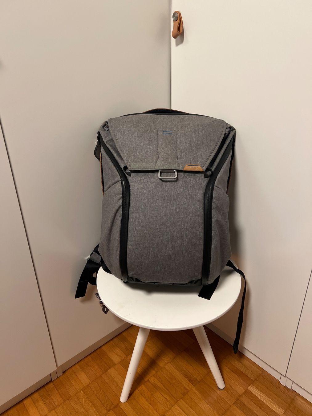 Peak Design Rucksäcke: Peak Design - Everyday Backpack 20L – Gebraucht aus Thalwil von nosthrillz 1