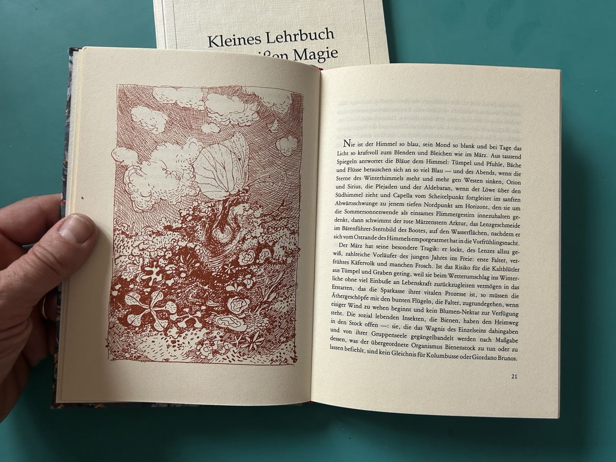 Libri: Zwei Bücher von Herbert Fritsche – Usato da Himmelried venduto da rasmus67 6