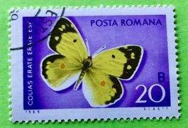 Briefmarken aus  Rumänien gestempelt Siehe Original Fotos. 