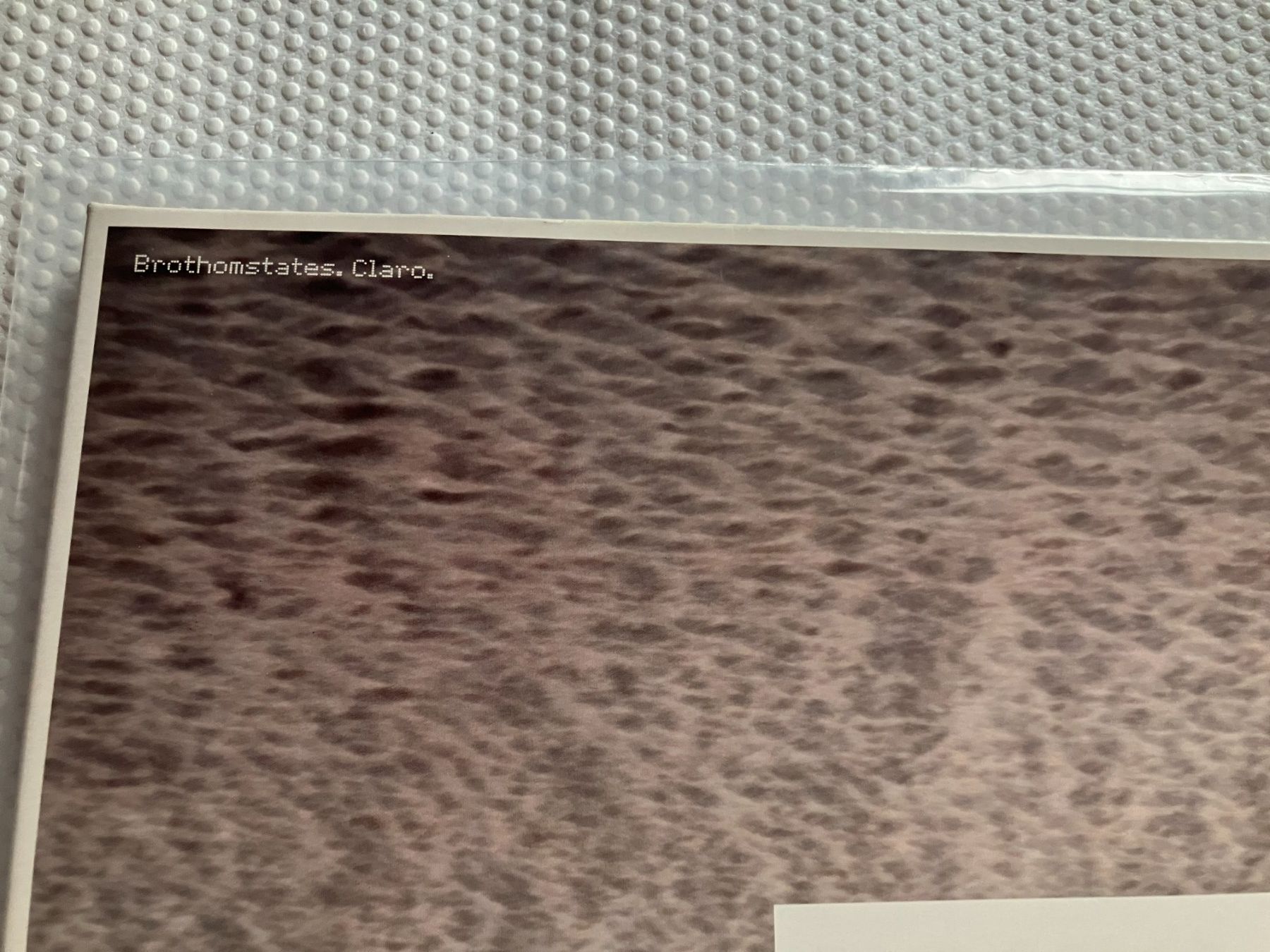 Dischi in vinile: Brothomstates – Usato da Aarwangen venduto da Jukebox3 1