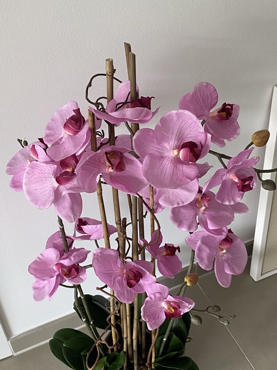 Tutte le decorazioni: Orchidea artificiale 70cm – Nuovo (secondo la descrizione) da Mendrisio venduto da SGR85 1