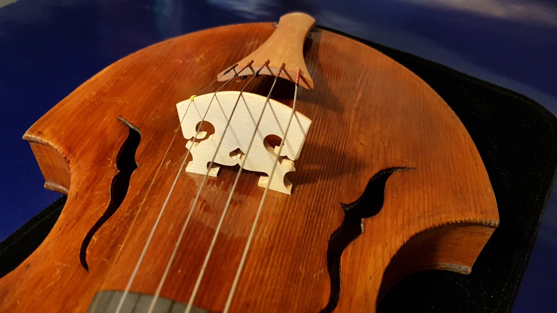 Strumenti musicali: Viola, alte Gambenform, 5-saitig – Usato da Berneck venduto da 2vulkan55 4