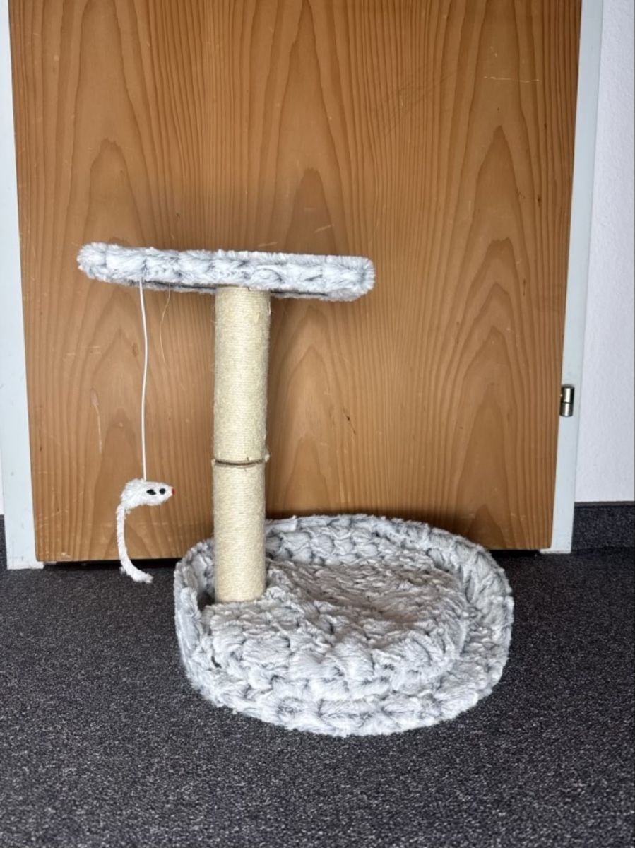 Jouets: Katzenzubehör Set gebraucht – D'occasion à Wohlen AG par jan_9l9q