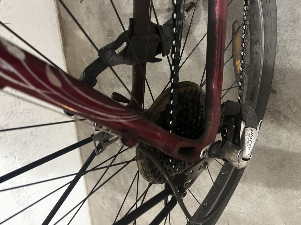 Trek Velos: Fahrrad/Velo Trek – Gebraucht aus Bern von Anja200414 4