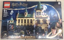 LEGO Harry Potter 76389 Hogwarts™ Kammer des Schreckens NEU