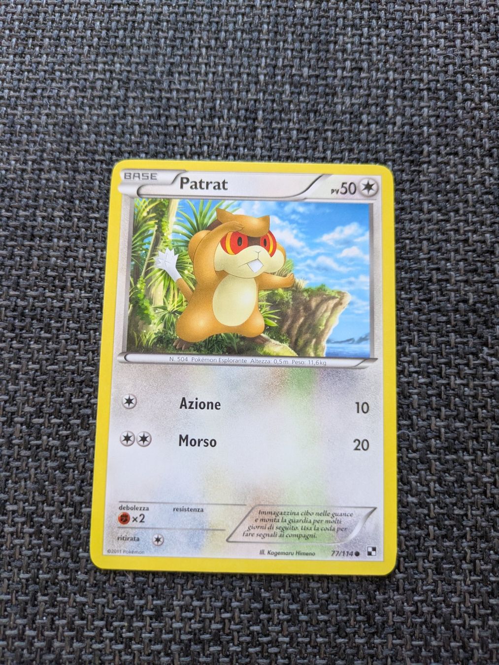 Pokémon Sammelbilder & Trading cards: PATRAT, BLACK & WHITE, BLW77, COM, 2011, ITA, GD – Gebraucht aus Losone von AlpineLayer