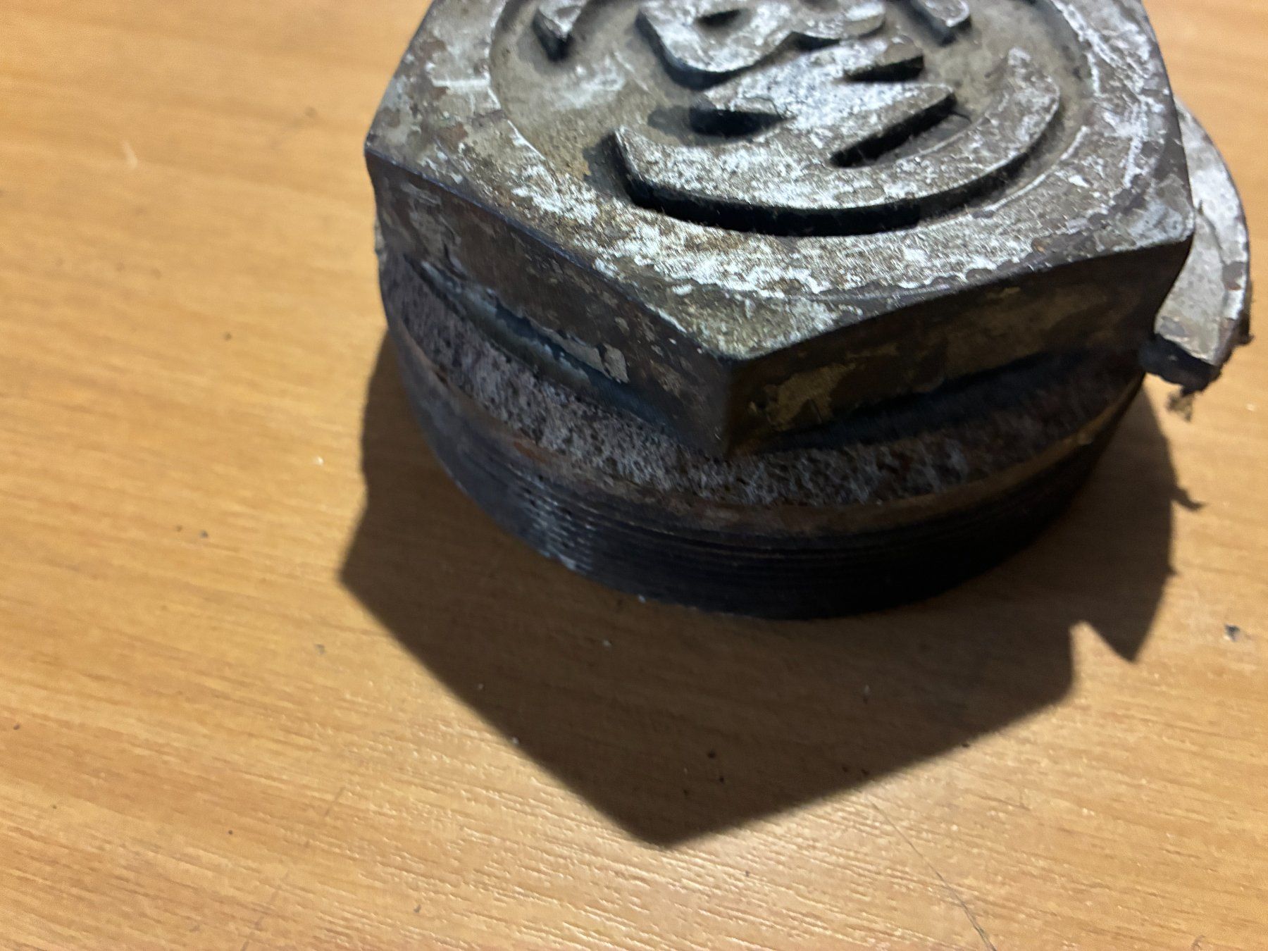 Alle Ersatzteile: Deckel Abdeckung Emblem FBW Teil gebraucht – Defekt aus Thun von Passuese 2