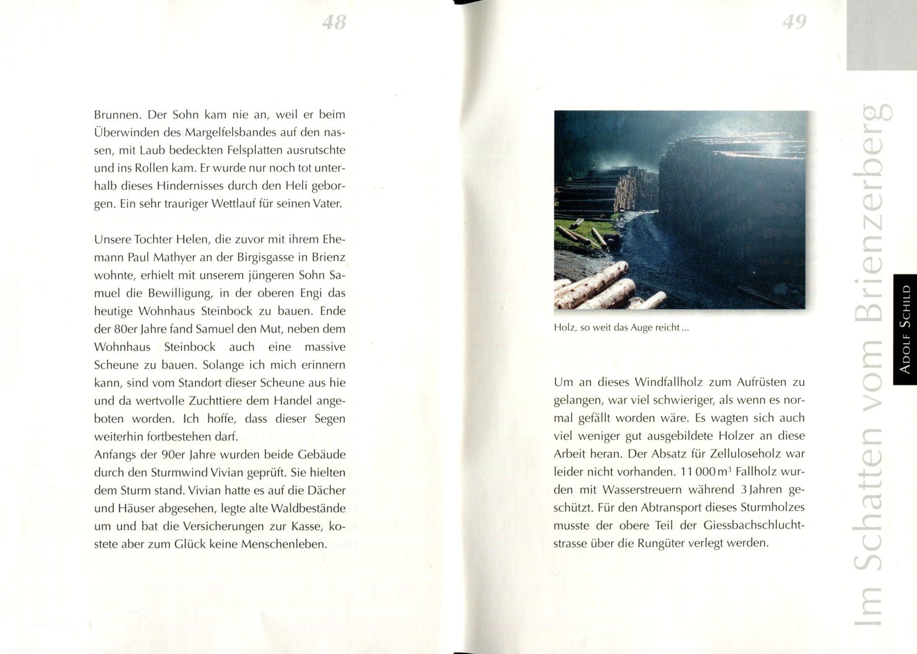 Bücher: Brienzerberg, Engi, Brienz, Heimatbuch – Gebraucht aus Aarau von Elmaar41 2