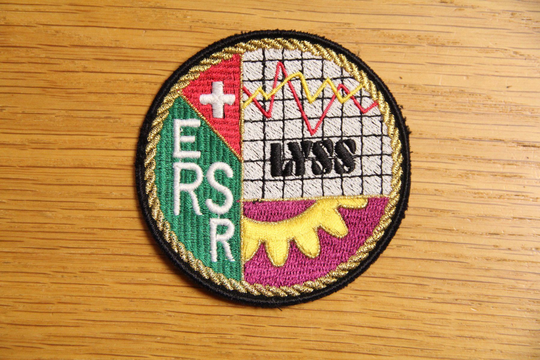 Schweizer Armee Placchette & Badge: E RS Lyss, Instandhaltungsschule Lyss, Badge – Usato da Belp venduto da Tomsek